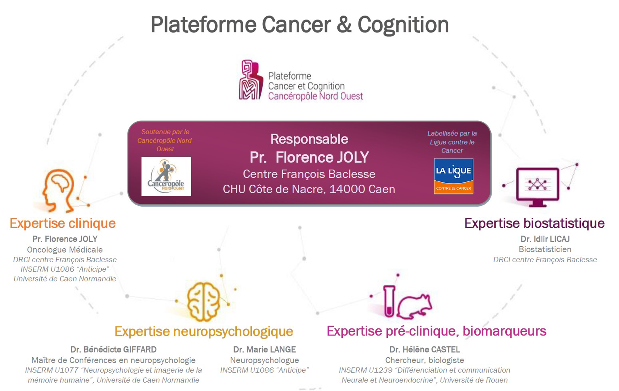 plateforme cancer Cognition organigramme